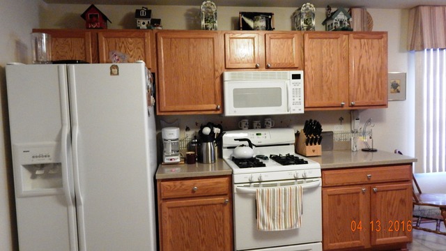 1384 Trailside Dr, Beecher, IL 60401 photo 7