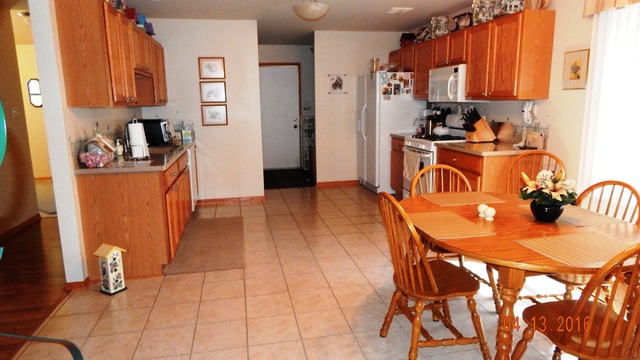 1384 Trailside Dr, Beecher, IL 60401 photo 9