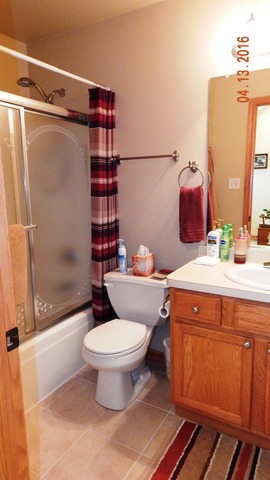 1384 Trailside Dr, Beecher, IL 60401 photo 18