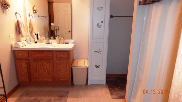 1384 Trailside Dr, Beecher, IL 60401 photo 14