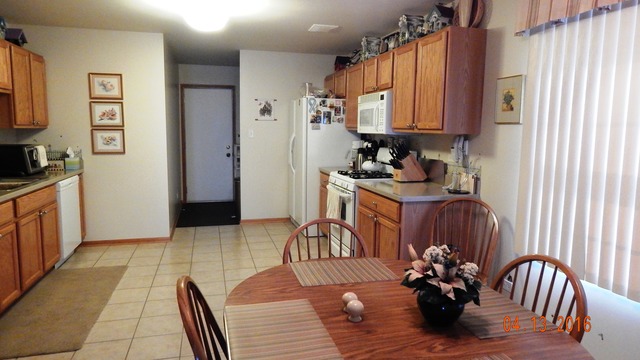 1384 Trailside Dr, Beecher, IL 60401 photo 8