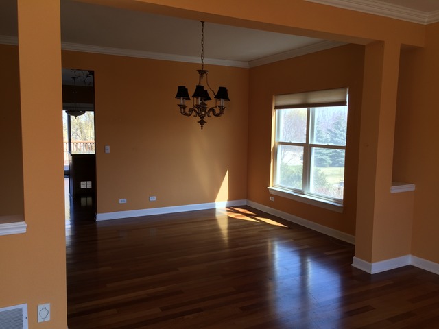 3670 Grayhawk Dr, Algonquin, IL 60102 photo 3