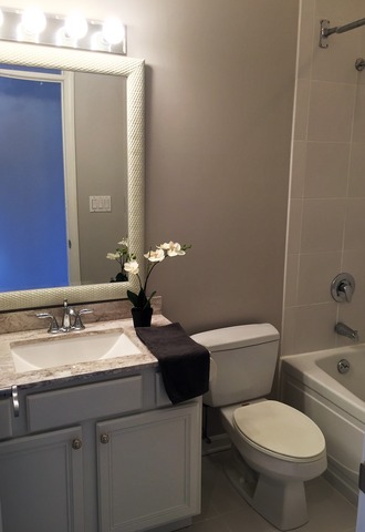 839 W 14th Pl, Chicago, IL 60608 photo 18