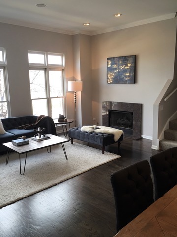839 W 14th Pl, Chicago, IL 60608 photo 8