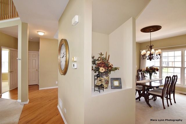 1423 Saddleridge Pl, Bartlett, IL 60103 photo 13