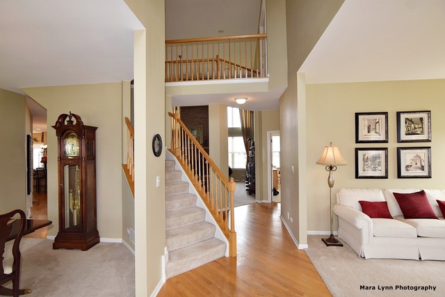 1423 Saddleridge Pl, Bartlett, IL 60103 photo 5