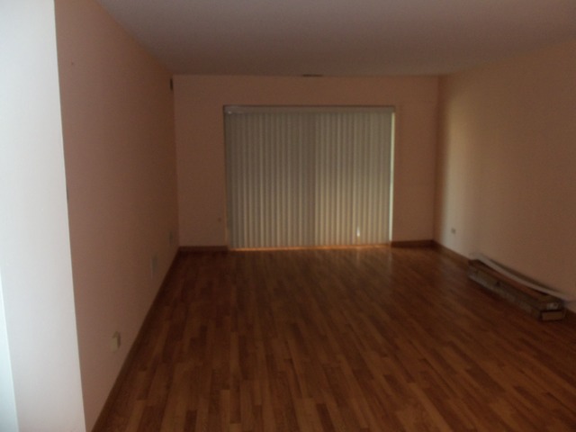1702 Mill St #201, Des Plaines, IL 60016 photo 3
