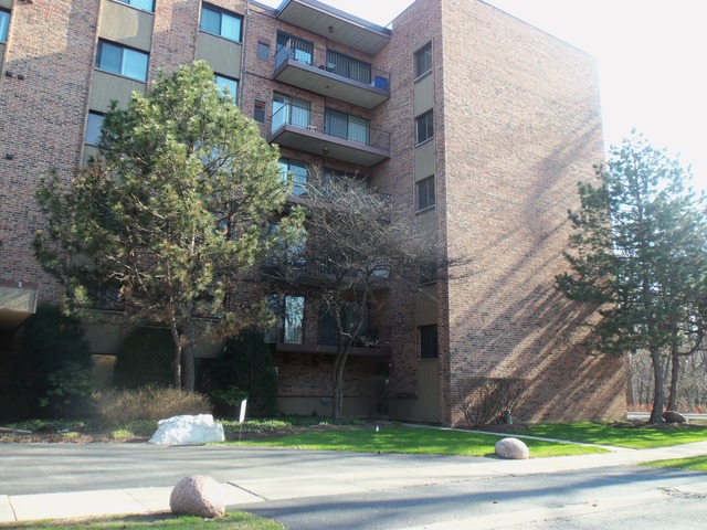 1702 Mill St #201, Des Plaines, IL 60016 photo 2