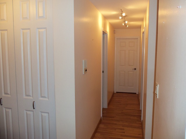 1702 Mill St #201, Des Plaines, IL 60016 photo 5