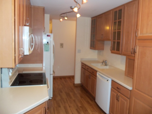 1702 Mill St #201, Des Plaines, IL 60016 photo 7