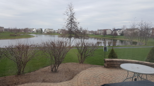 4000 Georgetown Cir, Algonquin, IL 60102 photo 9