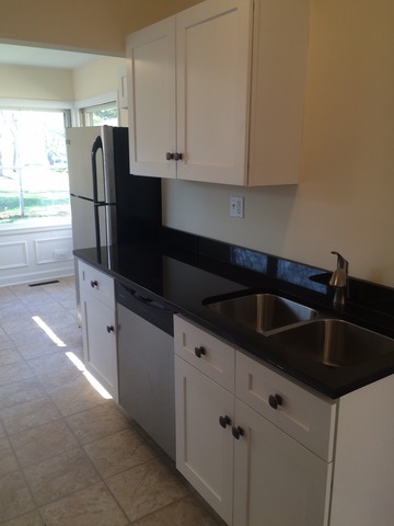 217 Orange St, Elgin, IL 60123 photo 7