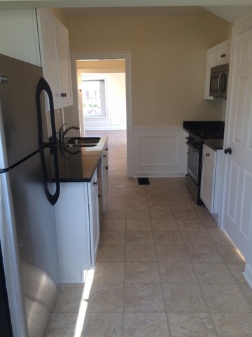217 Orange St, Elgin, IL 60123 photo 9