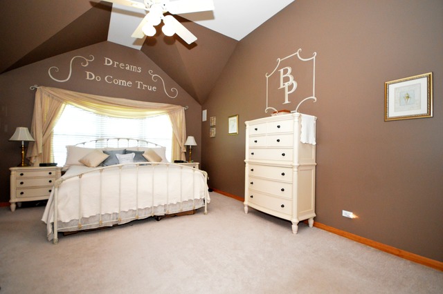 16252 S Dan Oconnell Dr, Plainfield, IL 60586 photo 9