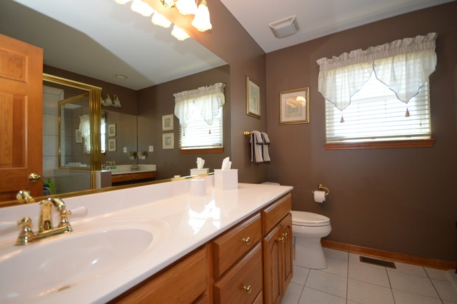 16252 S Dan Oconnell Dr, Plainfield, IL 60586 photo 10