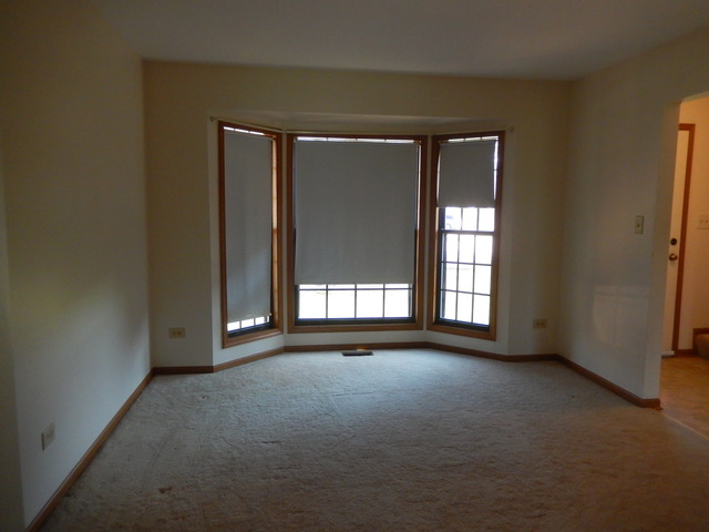 4491 Opal Dr, Hoffman Estates, IL 60192 photo 5