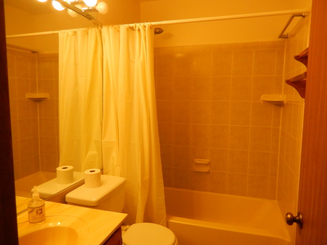 4491 Opal Dr, Hoffman Estates, IL 60192 photo 7