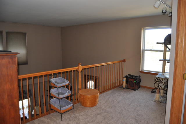 5407 Maple Glen Ct, Plainfield, IL 60586 photo 10
