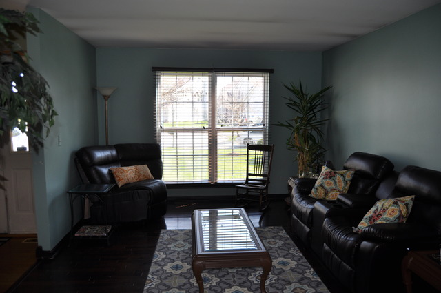 5407 Maple Glen Ct, Plainfield, IL 60586 photo 3