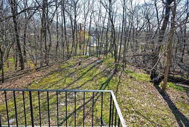 20541 Hellenic Dr, Olympia Fields, IL 60461 photo 23
