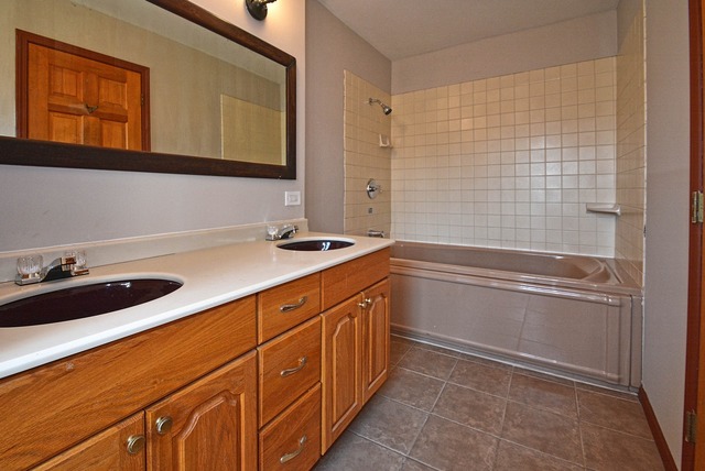 20541 Hellenic Dr, Olympia Fields, IL 60461 photo 10
