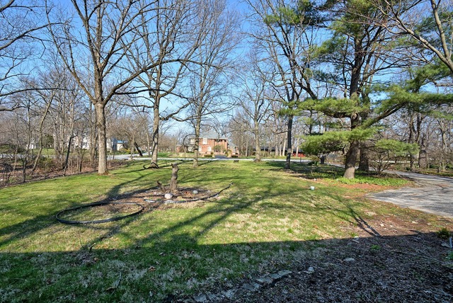 20541 Hellenic Dr, Olympia Fields, IL 60461 photo 21