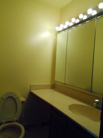 403 Shawn Ct, Wheeling, IL 60090 photo 20