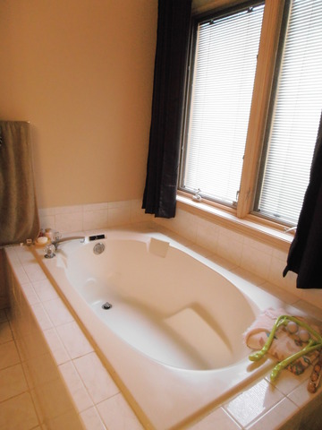 40 W835 Bowes Bend Dr, Elgin, IL 60124 photo 7