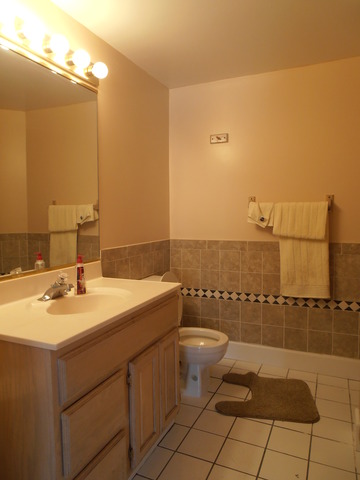 40 W835 Bowes Bend Dr, Elgin, IL 60124 photo 10