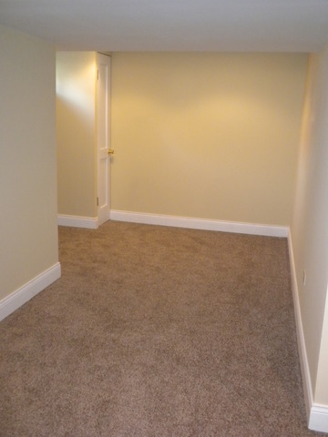 15643 Ingleside Ave, Dolton, IL 60419 photo 19
