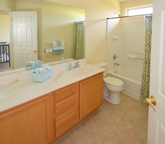 3024 Case Ct, Aurora, IL 60503 photo 18