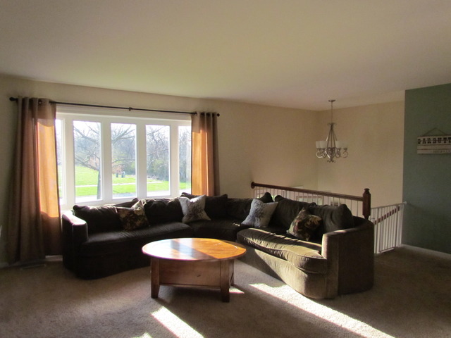 16031 S River Rd, Plainfield, IL 60586 photo 5