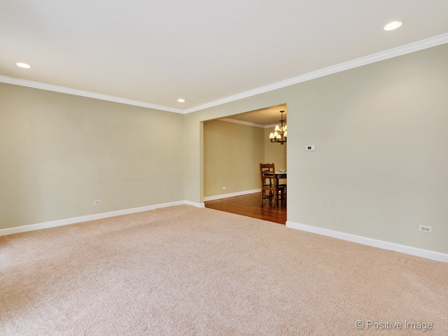 25 W676 Red Maple Ln, Wheaton, IL 60189 photo 21