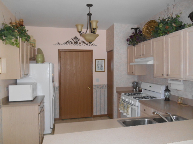 21562 W Empress Ln, Plainfield, IL 60544 photo 3