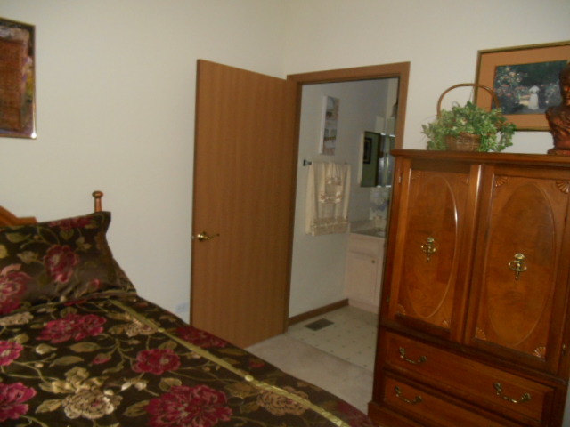 21562 W Empress Ln, Plainfield, IL 60544 photo 12