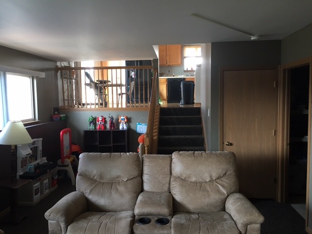 5313 W Orchard Trl, Monee, IL 60449 photo 11