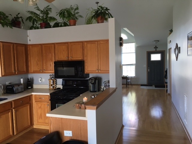 5313 W Orchard Trl, Monee, IL 60449 photo 3