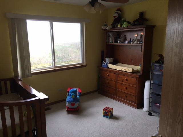 5313 W Orchard Trl, Monee, IL 60449 photo 8
