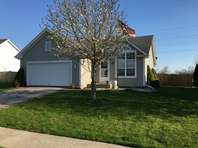5313 W Orchard Trl, Monee, IL 60449 photo 1