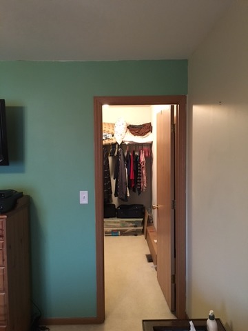 5313 W Orchard Trl, Monee, IL 60449 photo 6