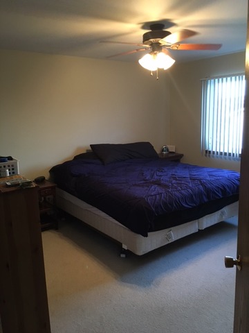 5313 W Orchard Trl, Monee, IL 60449 photo 5