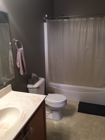 5313 W Orchard Trl, Monee, IL 60449 photo 12