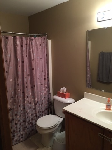 5313 W Orchard Trl, Monee, IL 60449 photo 9