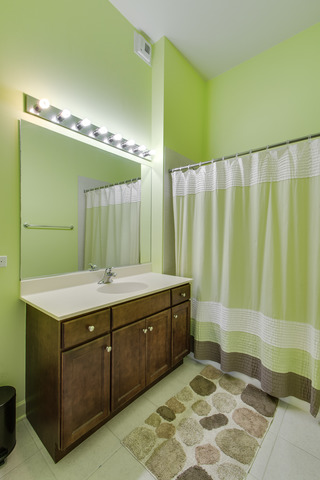 450 E Waterside Dr #3202, Chicago, IL 60601 photo 23