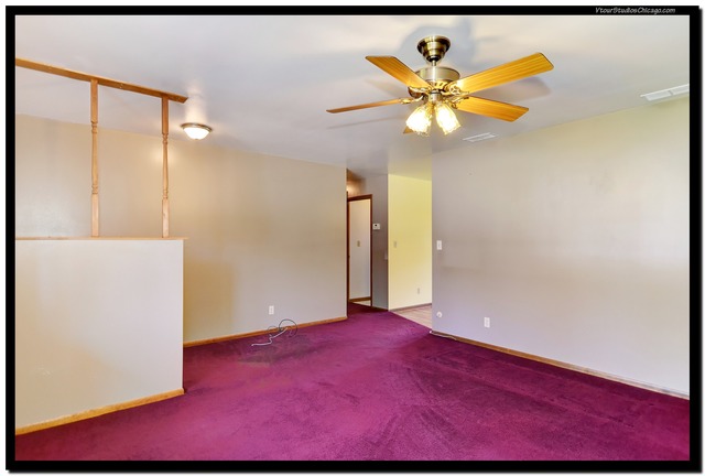241 E 1st St, Braidwood, IL 60408 photo 9