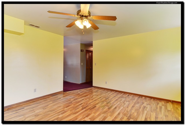 241 E 1st St, Braidwood, IL 60408 photo 5