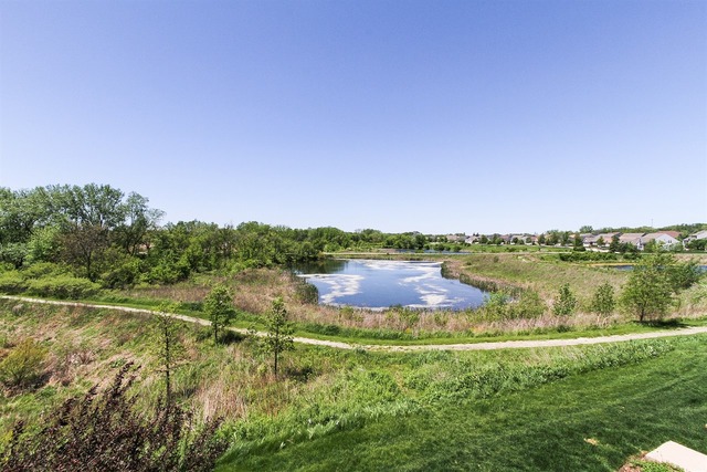1215 Falcon Ridge Dr, Elgin, IL 60124 photo 24