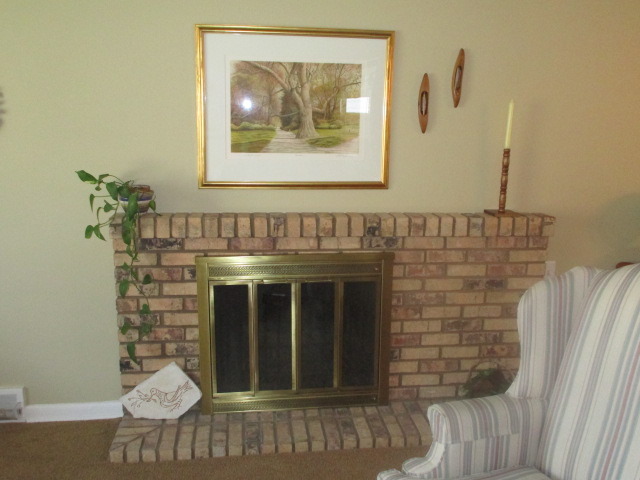 1011 Lawrence Ave, Elgin, IL 60123 photo 4