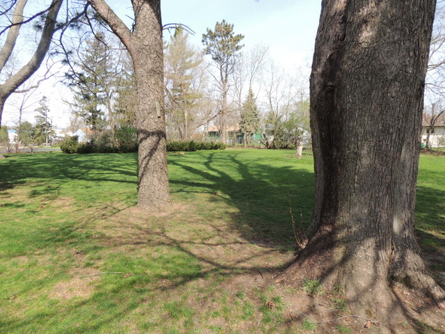 452 Park Ave, Cary, IL 60013 photo 14