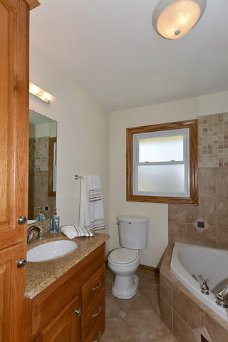 441 Beau Dr, Des Plaines, IL 60016 photo 15